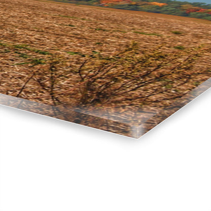U R There Photography Rowe Road Farm Across the Field Rustic Farmhouse Acrylic Wall Print