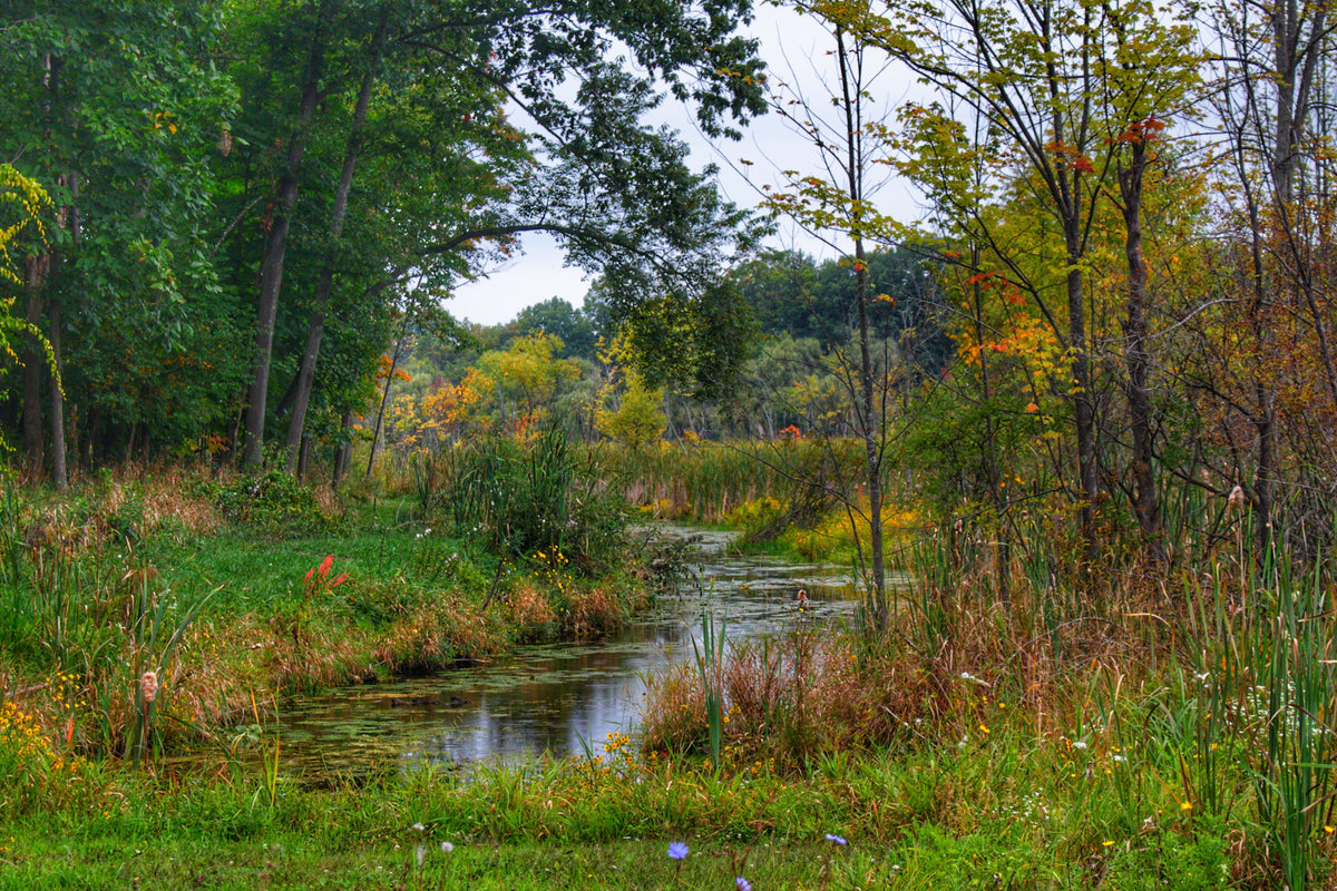 A River Runs Through It| Digital Image