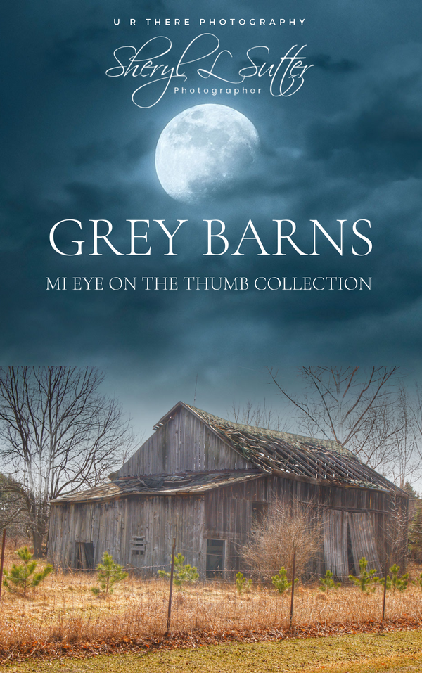 Green Barns|MI Eye on the Thumb Collection