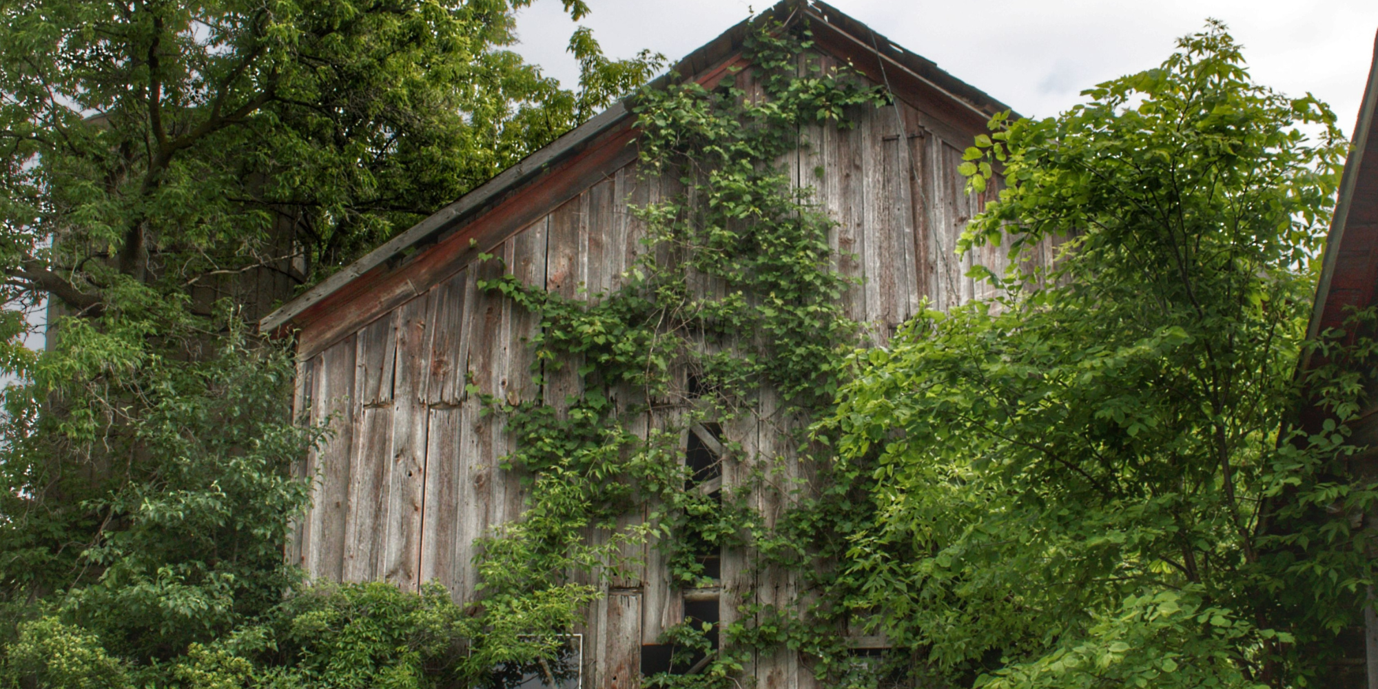 Rustic Farmhouse - Imlay Hidden