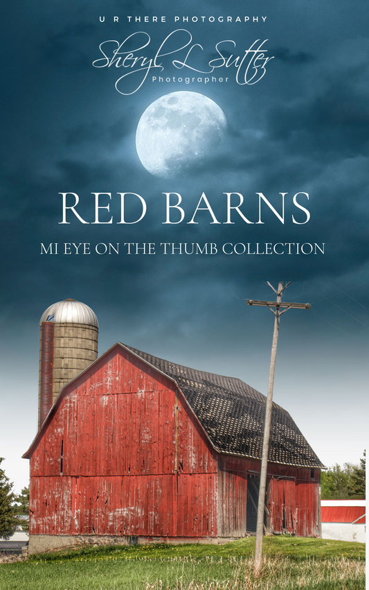 Red Barns|MI Eye on the Thumb Collection