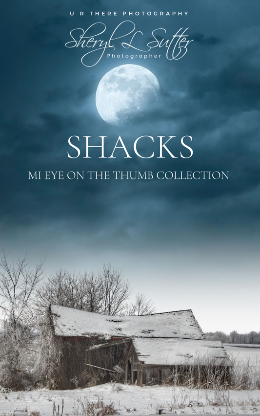 Shacks|MI Eye on the Thumb Collection